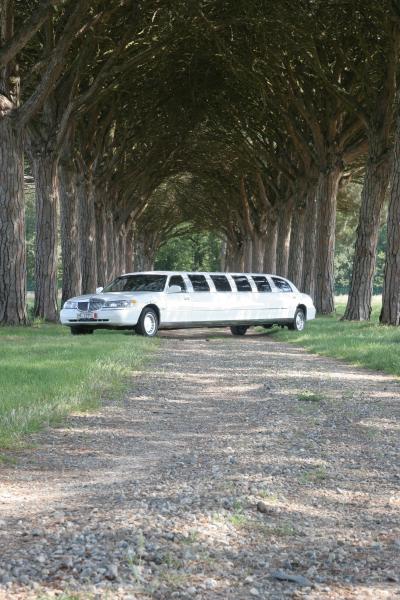 Location de limousine, mariage, anniversaire